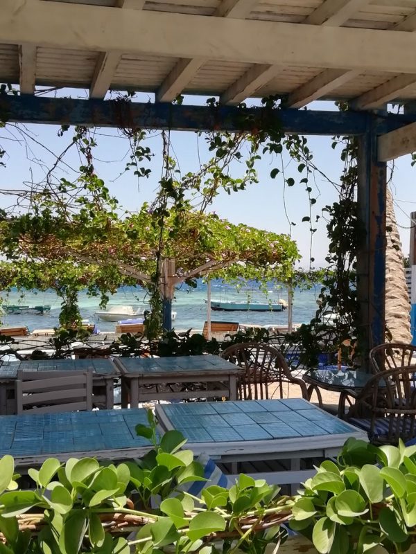 Гродзенка паехала ў Егіпет без грошай з двума дзецьмі - вучыць чужых дзяцей анатоміі