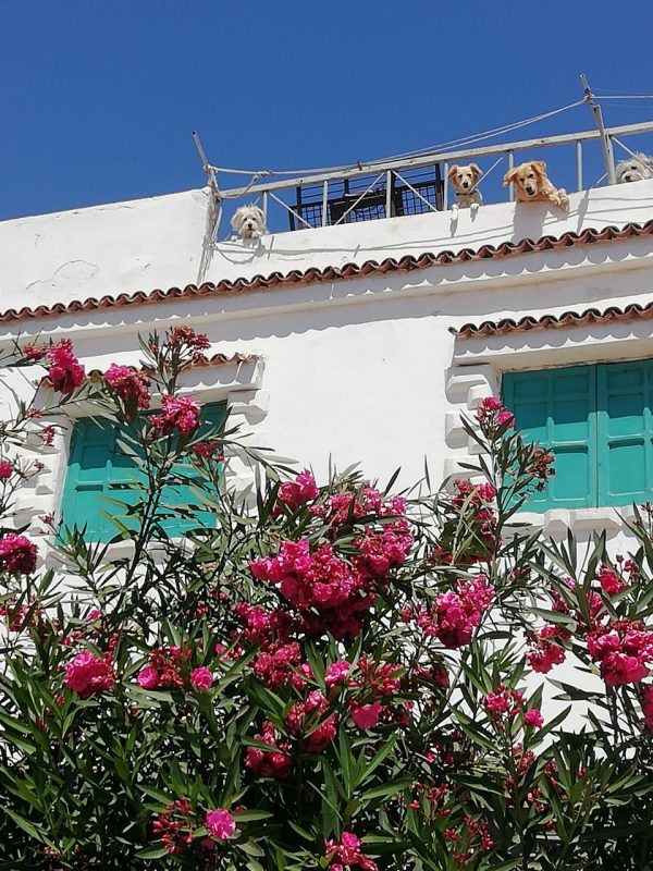 Гродзенка паехала ў Егіпет без грошай з двума дзецьмі - вучыць чужых дзяцей анатоміі