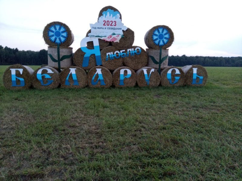 васильки на стогах