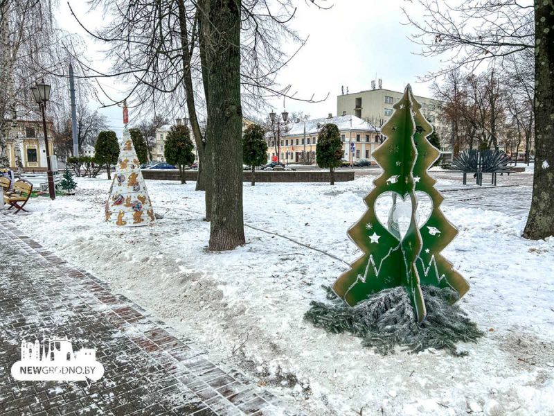 В Гродно открыли аллею из полусотни "дизайнерских" елок: фото