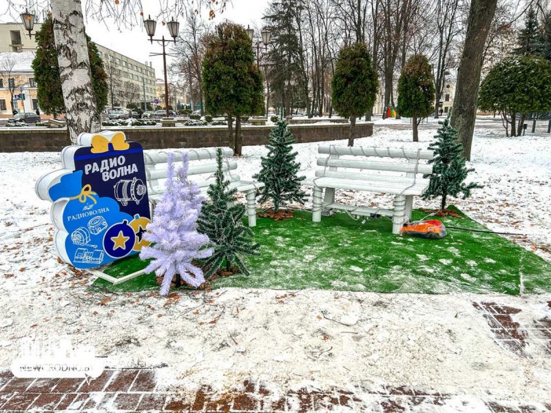 В Гродно открыли аллею из полусотни "дизайнерских" елок: фото