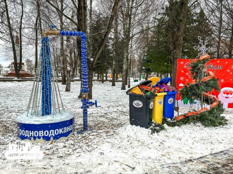 В Гродно открыли аллею из полусотни "дизайнерских" елок: фото
