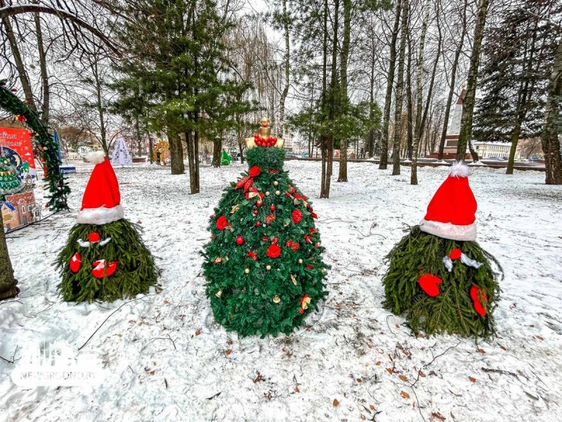 В Гродно открыли аллею из полусотни "дизайнерских" елок: фото