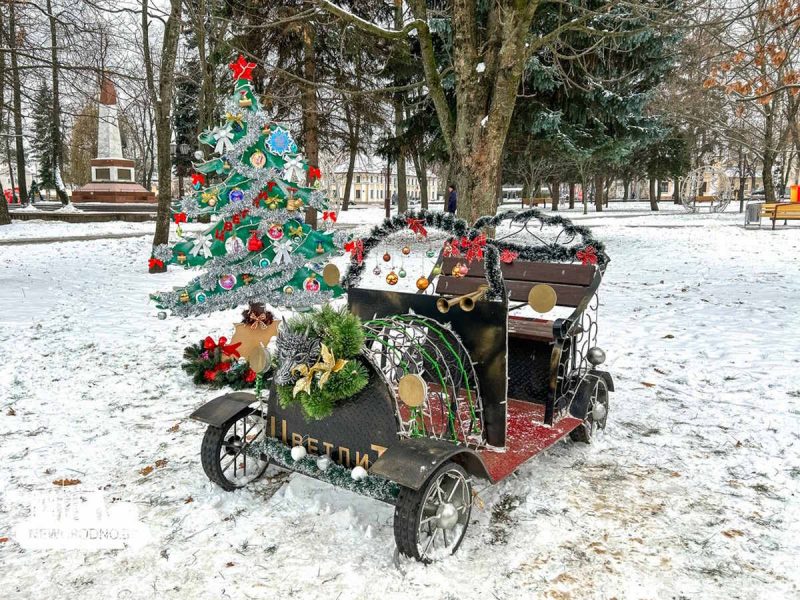 В Гродно открыли аллею из полусотни "дизайнерских" елок: фото