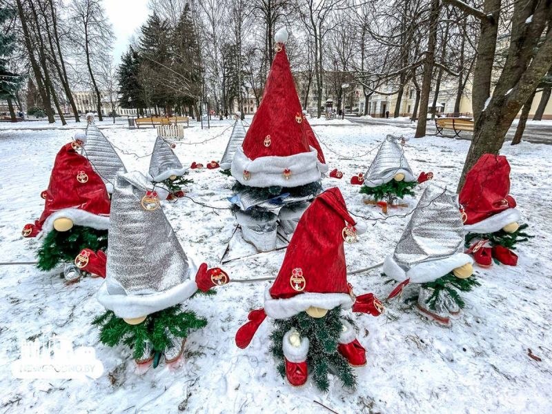 В Гродно открыли аллею из полусотни "дизайнерских" елок: фото