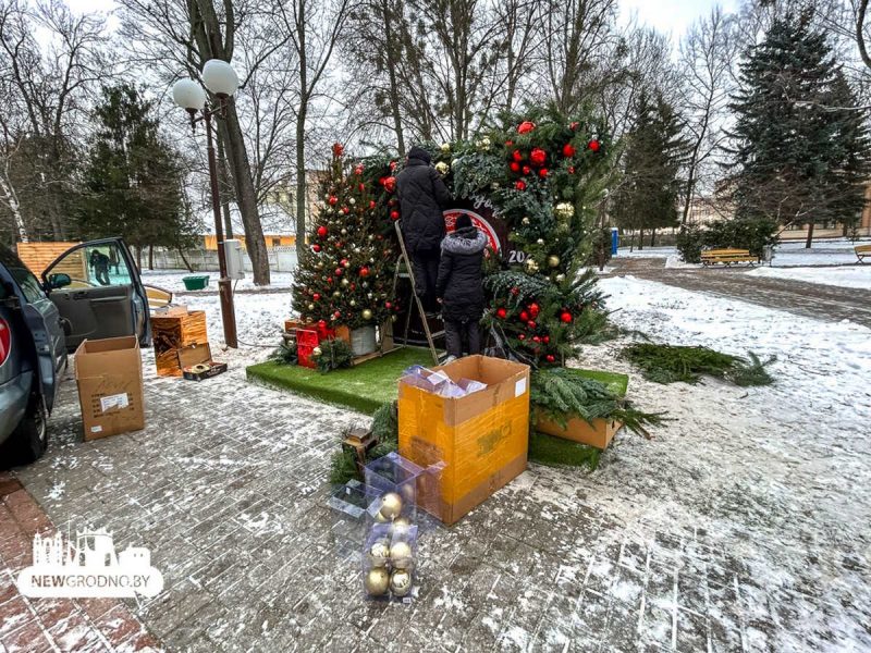 В Гродно открыли аллею из полусотни "дизайнерских" елок: фото