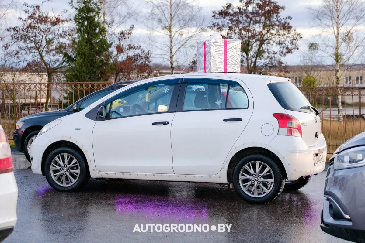 Посмотрите, какие новогодние фигуры выстраивают гродненцы из автомобилей: зубр, василек, снежинка (фото и видео разных лет)