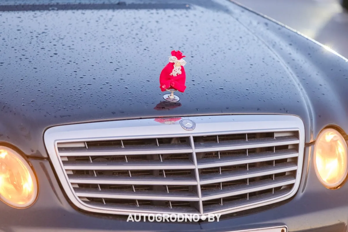 Посмотрите, какие новогодние фигуры выстраивают гродненцы из автомобилей: зубр, василек, снежинка (фото и видео разных лет)