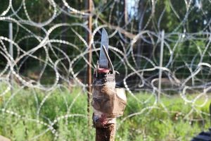 На границе с Беларусью мигранты ранили польского солдата ножом на палке Нож, которым ранили пограничника. Фото: пресс-служба Подляского отделения Пограничной службы Польши