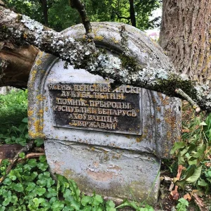 Сломанный ясень в Жемыславле.