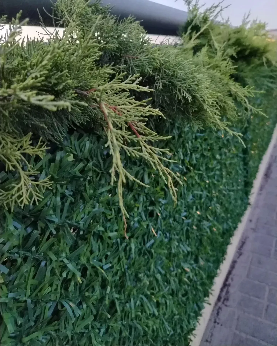 Штучны газон на Старым мосце