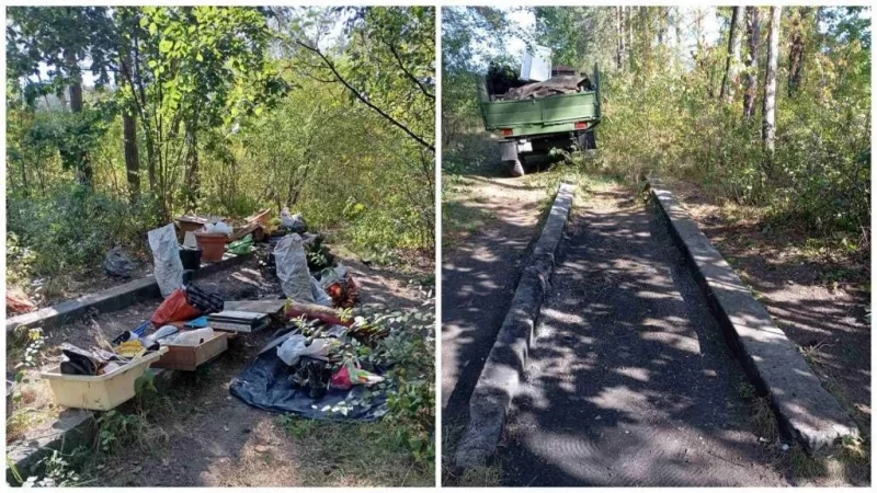 Из Томинского леса две недели шел неприятный запах и дым. Гродненцы обнаружили, кто за этим стоит 