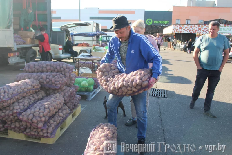 Посмотрели, как изменились цены овощей и фруктов на сезонных ярмарках в Гродно