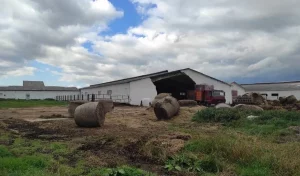 В Новогрудском районе мужчину засыпало стеной - он погиб стена обрушилась на мужчину