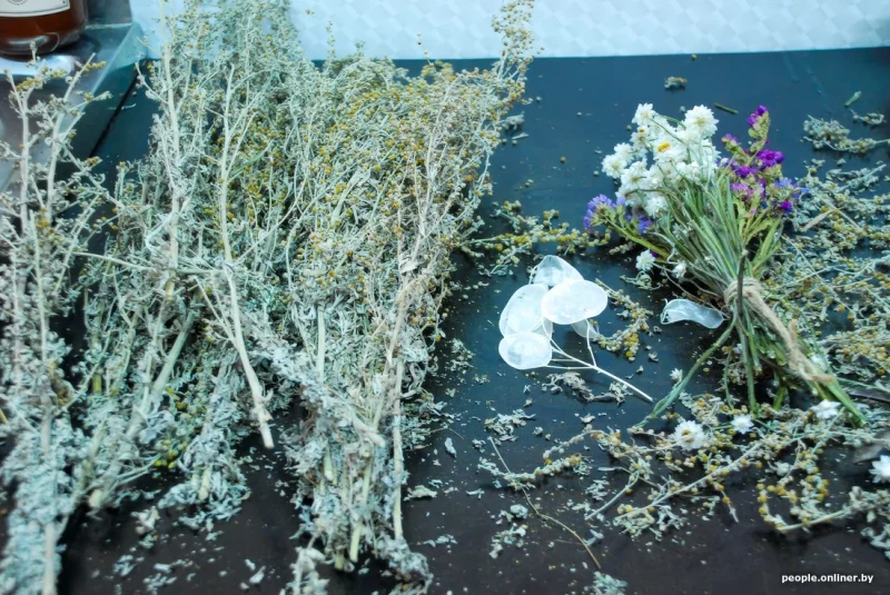 “Планую паўтарыць гербарый Элізы Ажэшкі". Гродзенка 20 гадоў працавала ветлекарам, а цяпер пляце вянкі на заказ