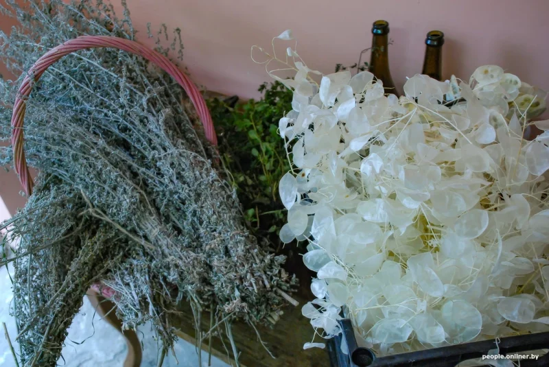 “Планую паўтарыць гербарый Элізы Ажэшкі". Гродзенка 20 гадоў працавала ветлекарам, а цяпер пляце вянкі на заказ