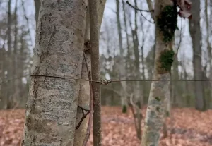 Проволока для байкеров.