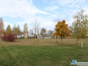 Участок около "Гродно Азот" и кладбища. Фото: гродненский центр недвижимости