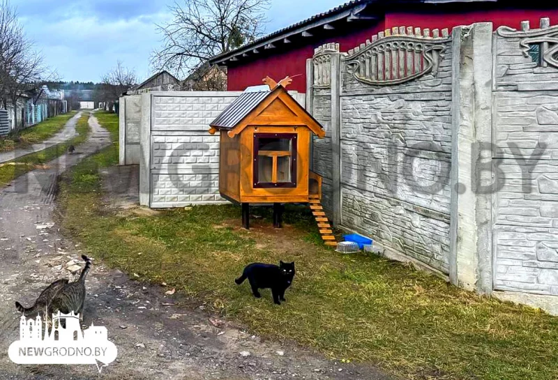 Под Гродно построили домик для бездомных котов – он похож на деревянную избушку 