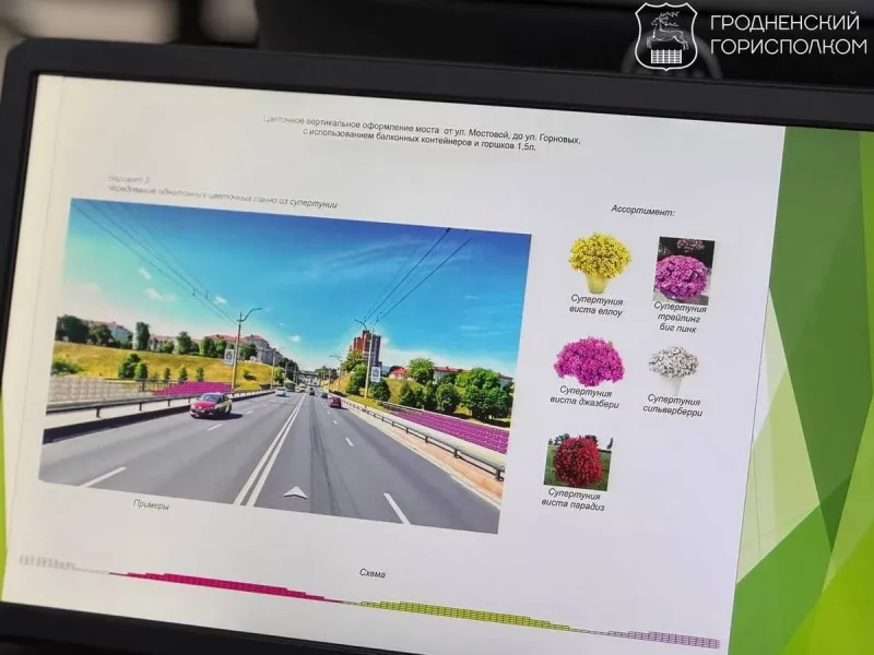 Схема озеленения Старого моста