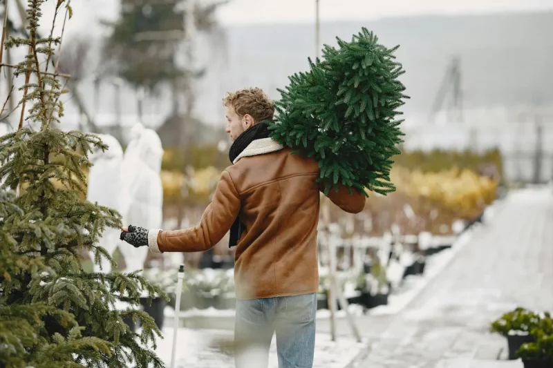 где купить новогоднюю елку в гродно?