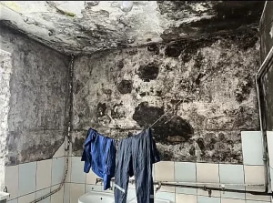 Помещения на Гоголя, 6.