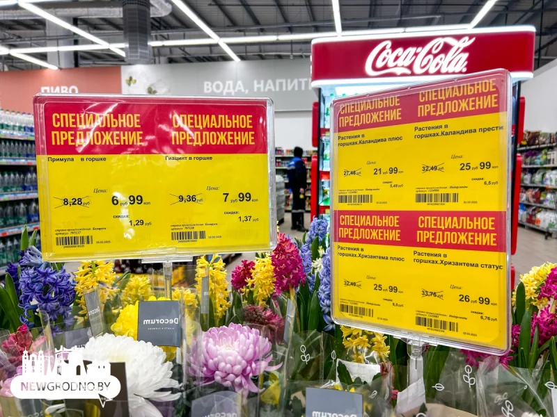 От 3,5 до 132 рублей. Сколько стоят тюльпаны к 8 марта в Гродно