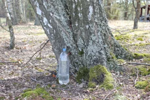 «Нам с вами нельзя иметь никаких связей». Съездили в Беловежскую пущу, разделённую забором, и узнали, что происходит по обе стороны «Нам с вами нельзя иметь никаких связей». Съездили в Беловежскую пущу, разделённую забором, и узнали, что происходит по обе стороны