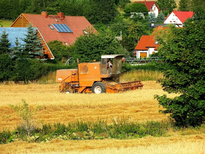 Комбайн "Bizon" в польской деревне