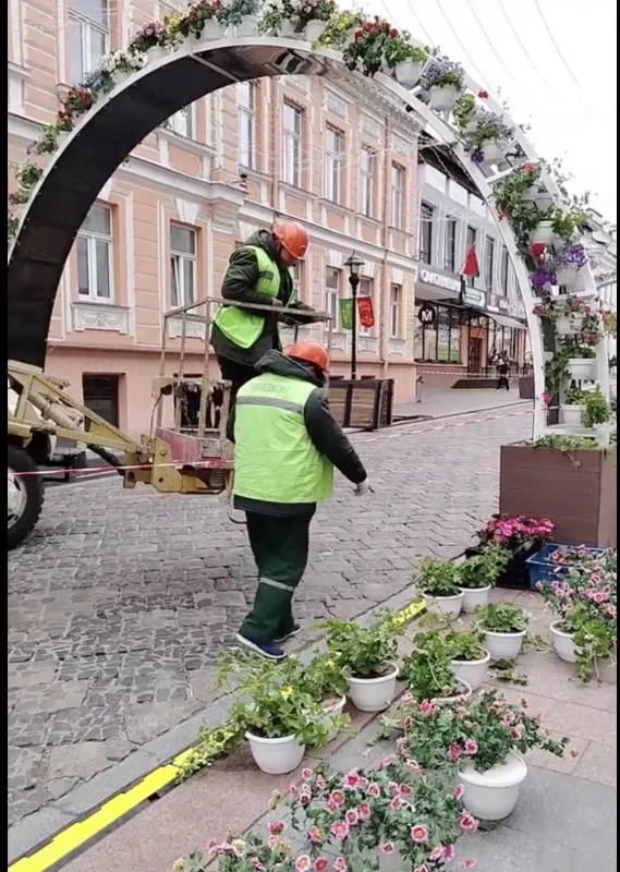 Арки на Советской уже украсили цветами — горожане сравнивают улицу с «маленькой Голландией»