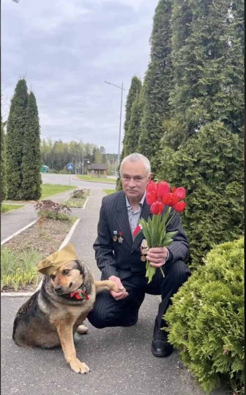 В праздновании Дня победы задействуют животных. Участвует и коза из Гродненского зоопарка 