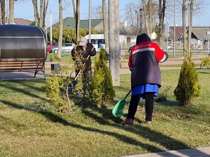 Временные оплачиваемые работы в Беларуси. Источник: trudgrodno.gov.by