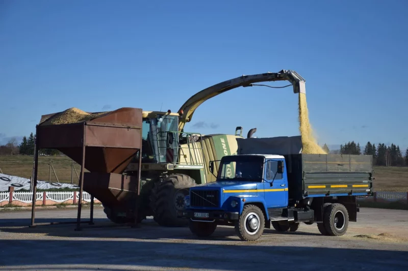 Уборка кукурузы в СПК «Колхоз «Родина» в Беларуси
