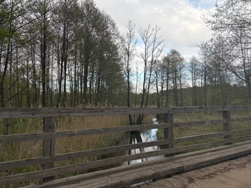 Река у польско-беларусской границы. Фото: MOST / Hrodna.life