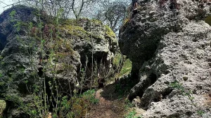 Белоруски исследовали “Колодежный ров” в Гродно - памятник, о котором знают не все