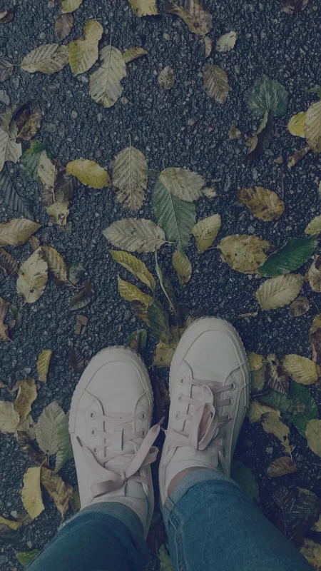 В Гродно листья деревьев пожелтели и осыпались. Горожане ищут причину 