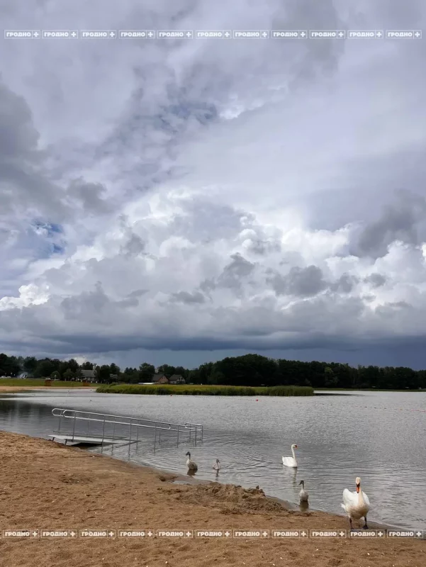 В Гродно установят водный пандус для людей с инвалидностью. Первый в городе 