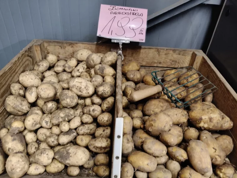 Цены овощей на рынке в Польше. Фото: Hrodna.life