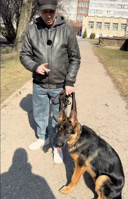 Як знайсці падыход да сабак і перамагчы агрэсію — расказвае зоапсіхолаг з Гродна