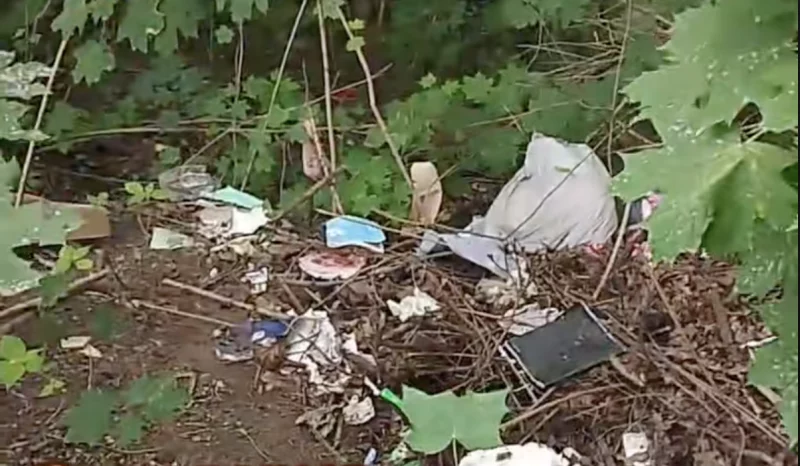 В Гродно появилась стихийная свалка. Что могут сделать горожане?  