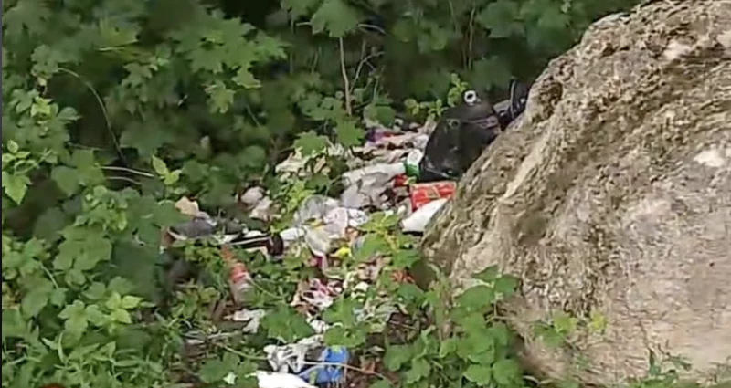 В Гродно появилась стихийная свалка. Что могут сделать горожане?  