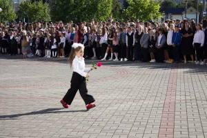цветы на 1 сентября в Гродно