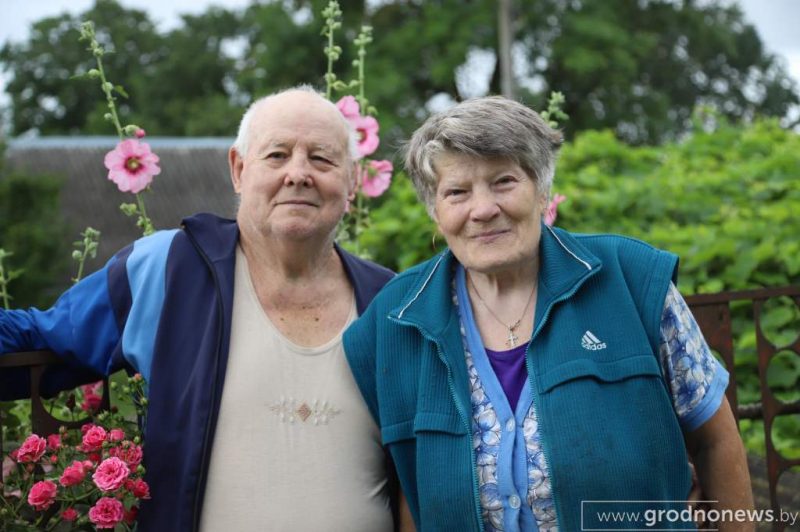 «Живут везде: в доме, сарае, гараже». В Лидском районе соседи-пенсионеры и зоозащитница спорят из-за 13 собак и некошеной травы
