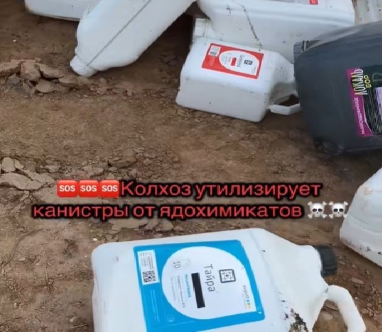 «Руководство приносит искренние извинения». В Зельвенском районе сжигали канистры от ядохимикатов
