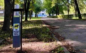 В Гродно установили контейнеры для уборки за собаками на выгуле
