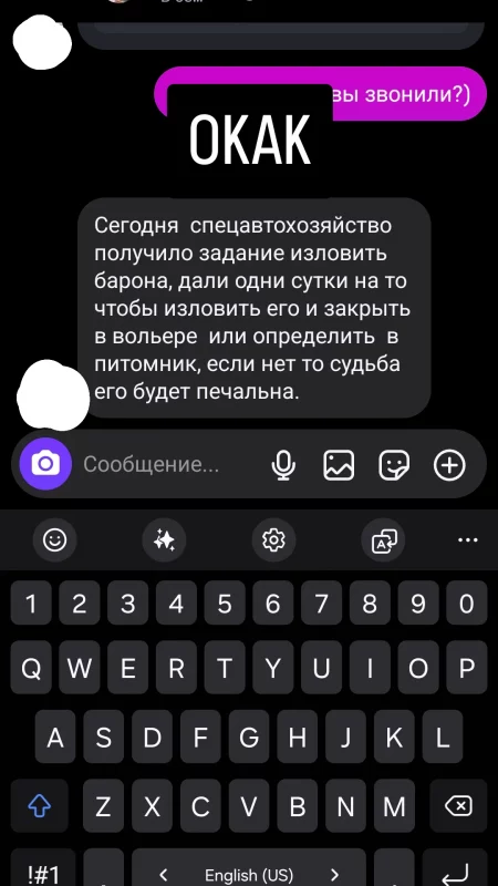 На гродненского инстаграмного пса Барона вызвали службу отлова