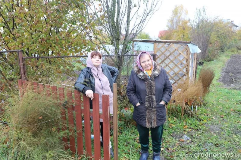 В Коробчицах местная жительница требует отдать ей участок «под огород» — земля принадлежит другим людям В Коробчицах местная жительница требует отдать ей участок «под огород» — земля принадлежит другим людям