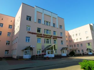 Гродненский областный клинический перинатальный центр. Фото: Яндекс.Карты
