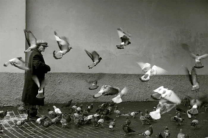 «Хранители истории». Чем занималась Наталия Дорош и почему ее фотоархив — важен для Гродно