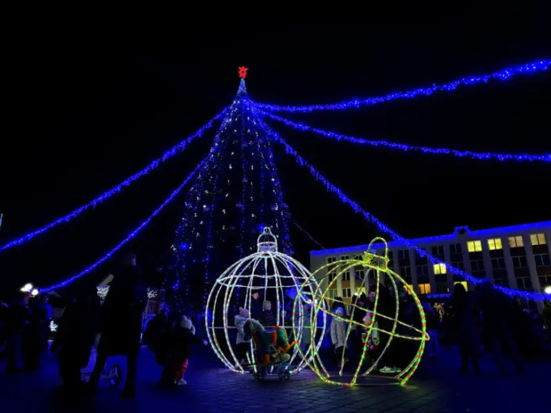 С подковами, домиками и снежинками. Как выглядят главные елки в районных центрах региона